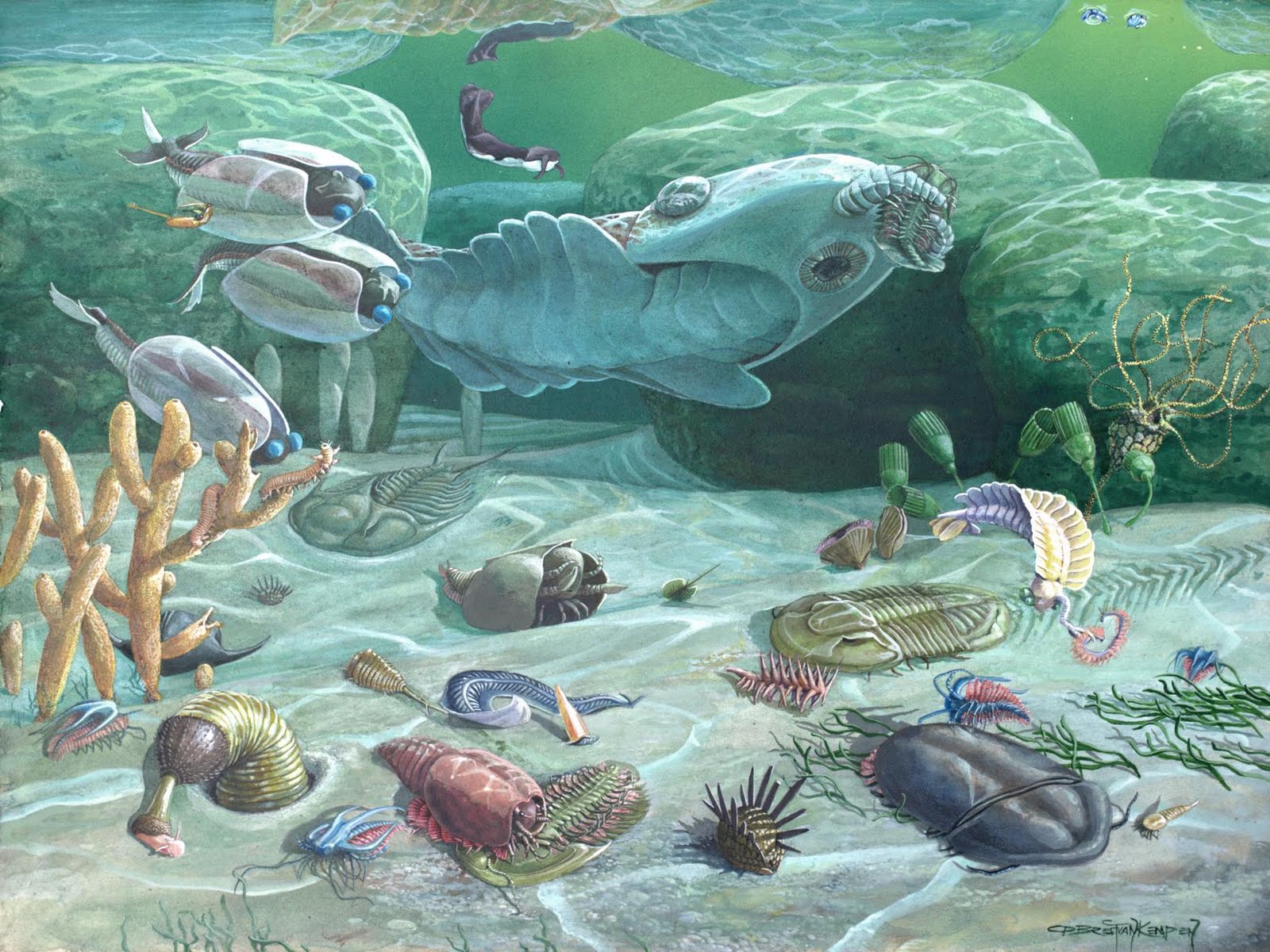 The Cambrian Explosion – An Enigma of Deep Time | The Palaeobabbler