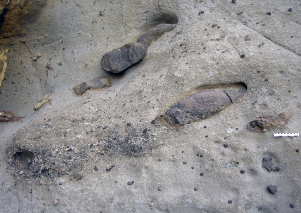 Dinosaur-Burrows-Australia