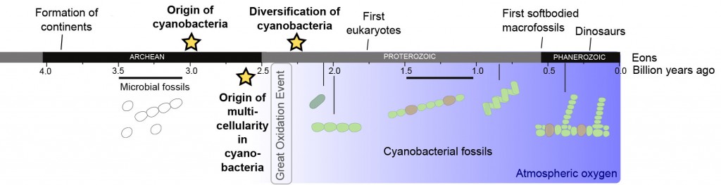 Figure1