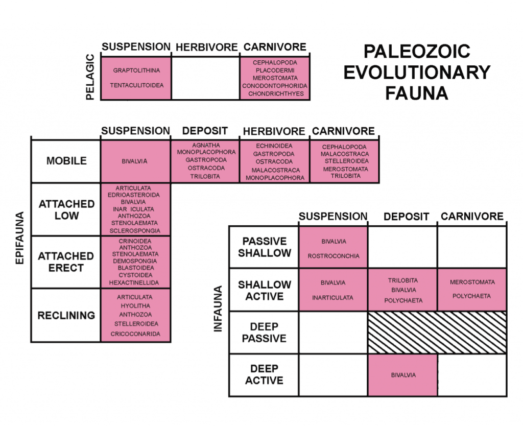 Ordovician guilds