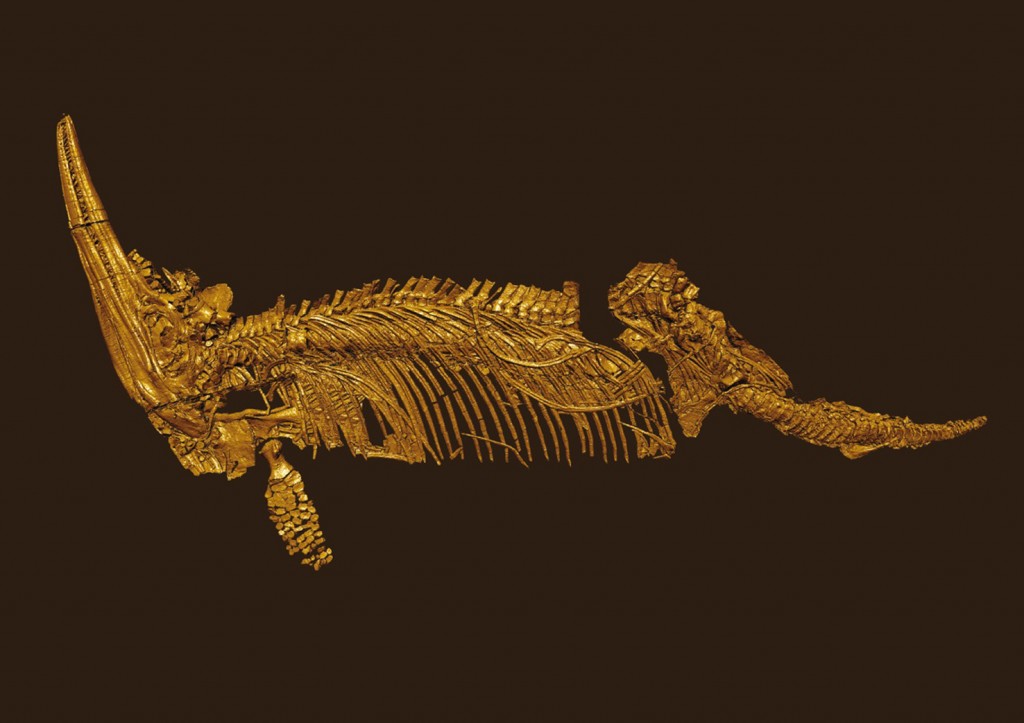 cryopterygius-kristiansenae-3d-scan-1476