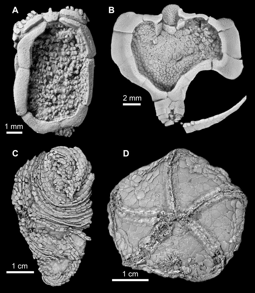 Figure2