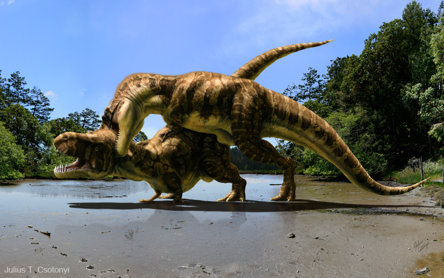 Csotonyi_Tyrannosaurus
