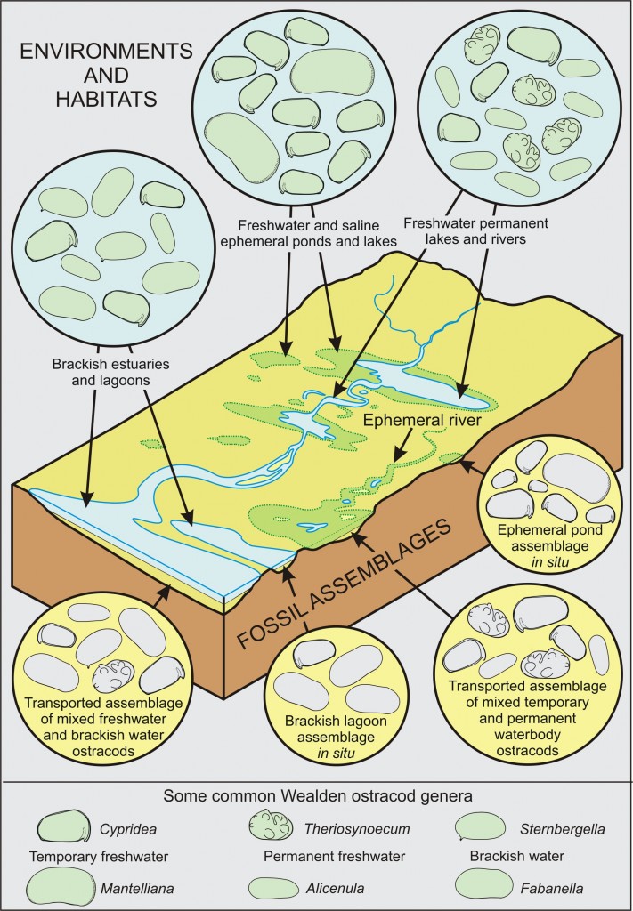 Wealden ostracod environments