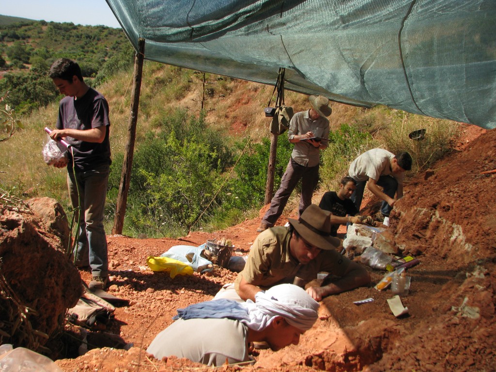 Fieldwork-Portugal