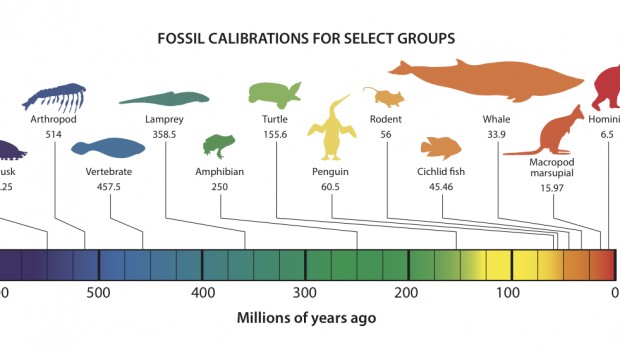 https://www.palaeocast.com/wp-content/uploads/2015/03/FCDgraphic-620x350.jpg?utm_source=chatgpt.com