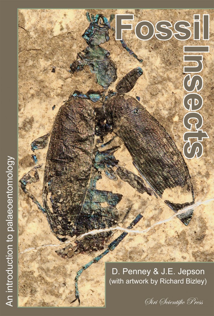 Fossil Insects cover NEW300