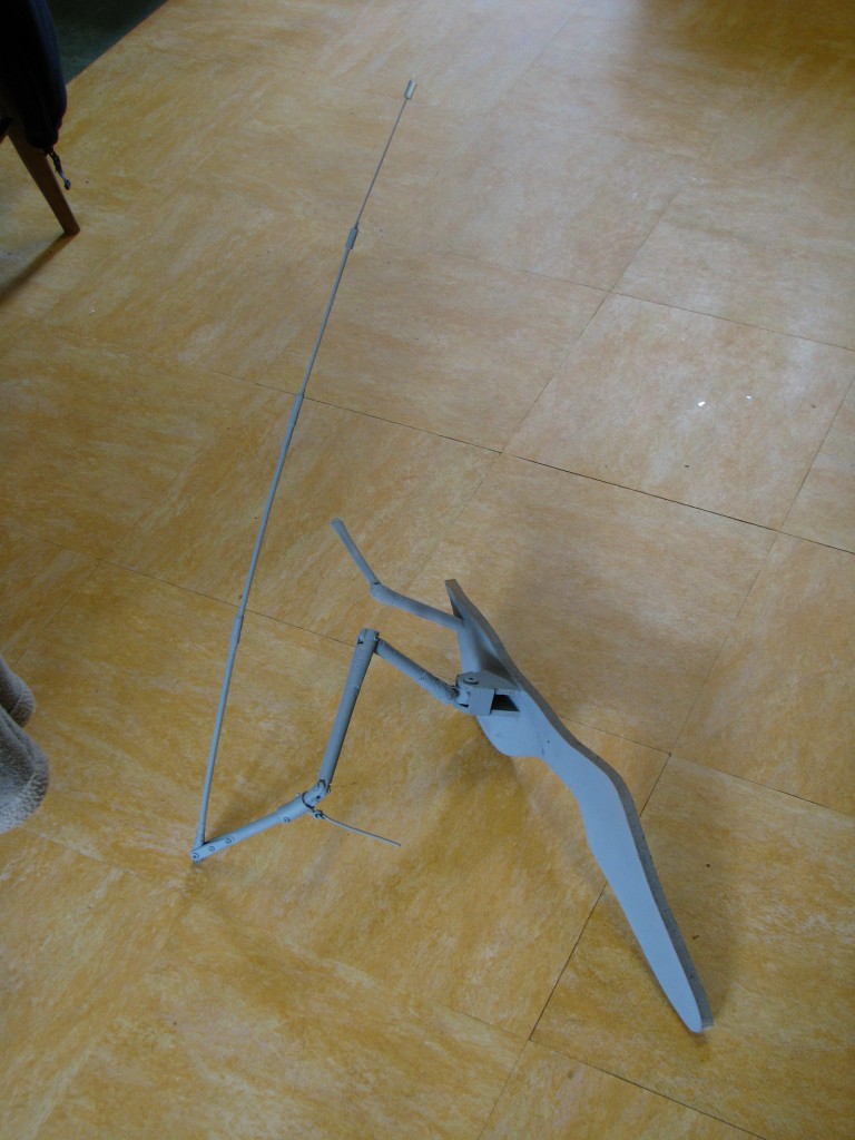 Pterosaur articulated model