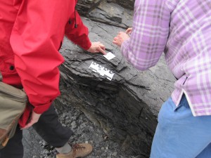 Jenny Clack and Tim Smithson taking a photo of an actinopt jaw at Blue Beach. Image credit Jason Anderson