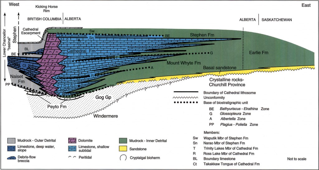 Lithology