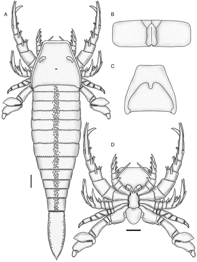 Fig 20 - reconstruction