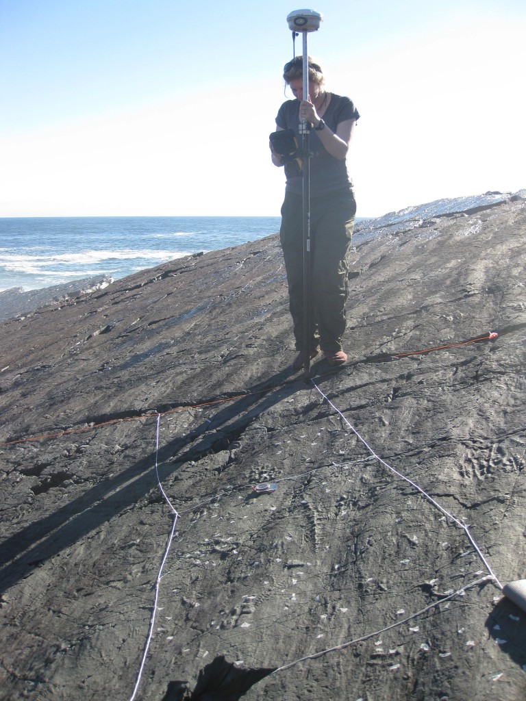 Mistaken Point Collecting Data