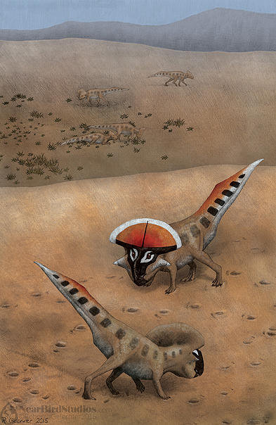 Hone 1 Protoceratops
