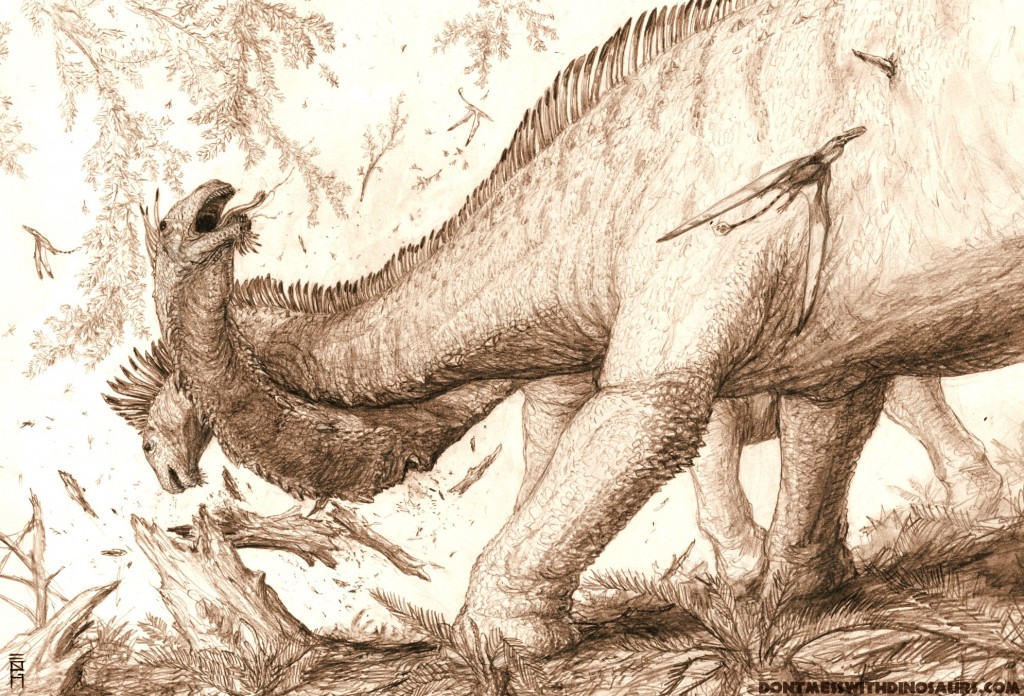 Taylor fighting apatosaurs