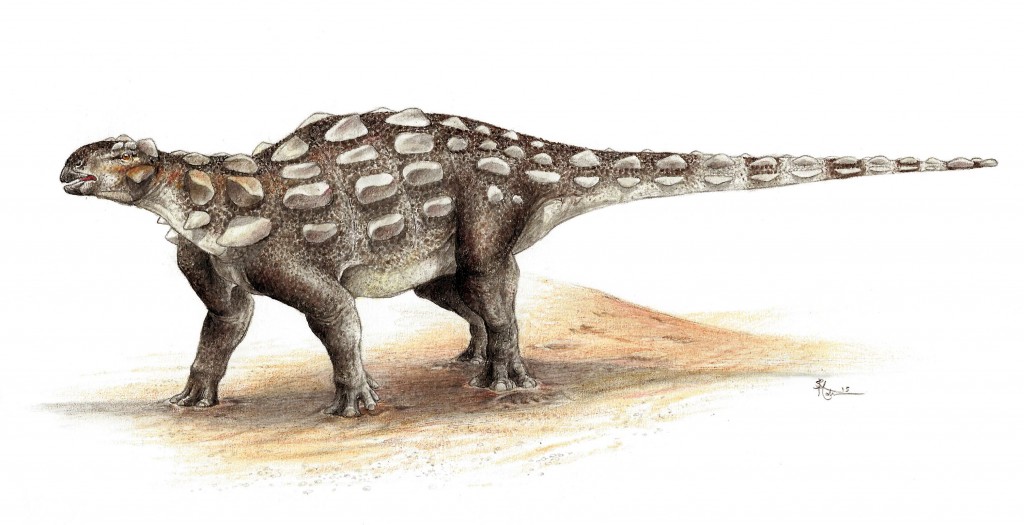 Gobisaurus_SydneyMohr