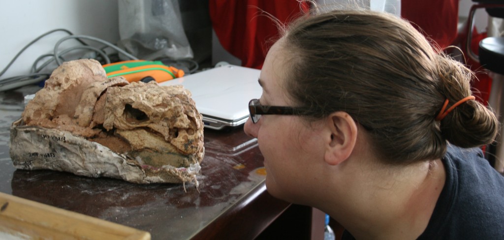 pinacosaurus at IVPP