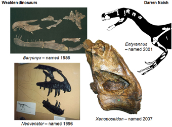 New_Wealden_dinosaurs_slide_15-6-2009