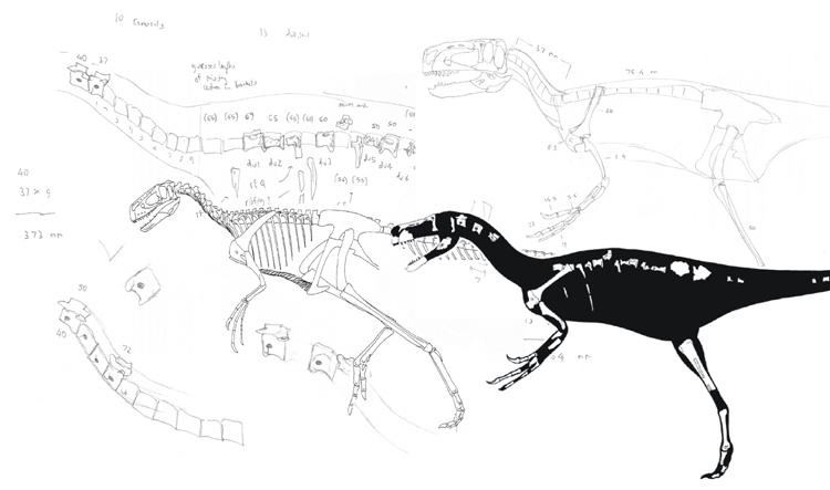 eotyrannus-xmas-composite