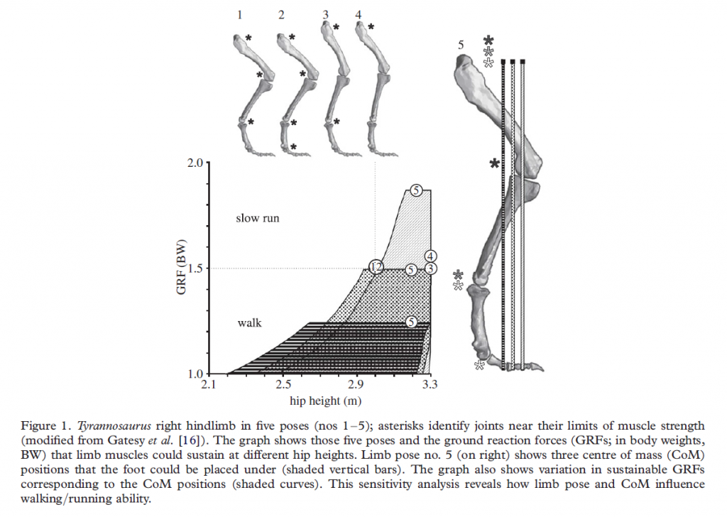 Trex-modelling2011BiolLett