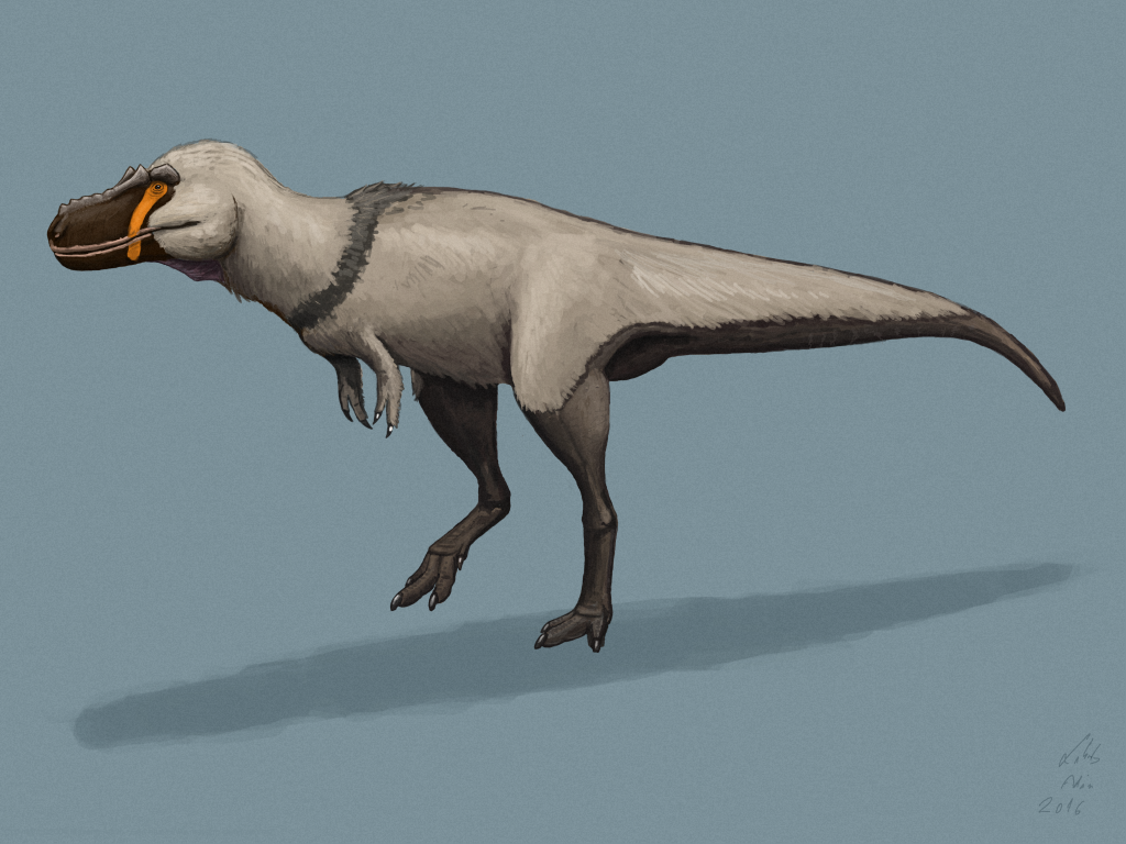 Ádám Lakatos gorgosaurus_libratus