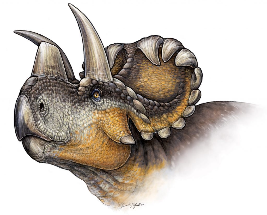 evans_palaeocast_fig6_ddufault-copy