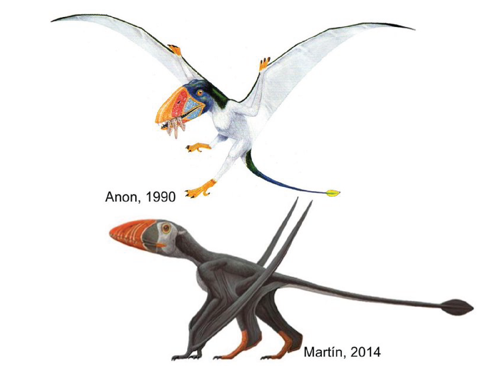 No, these pterosaurs were not Jurassic puffins, Science