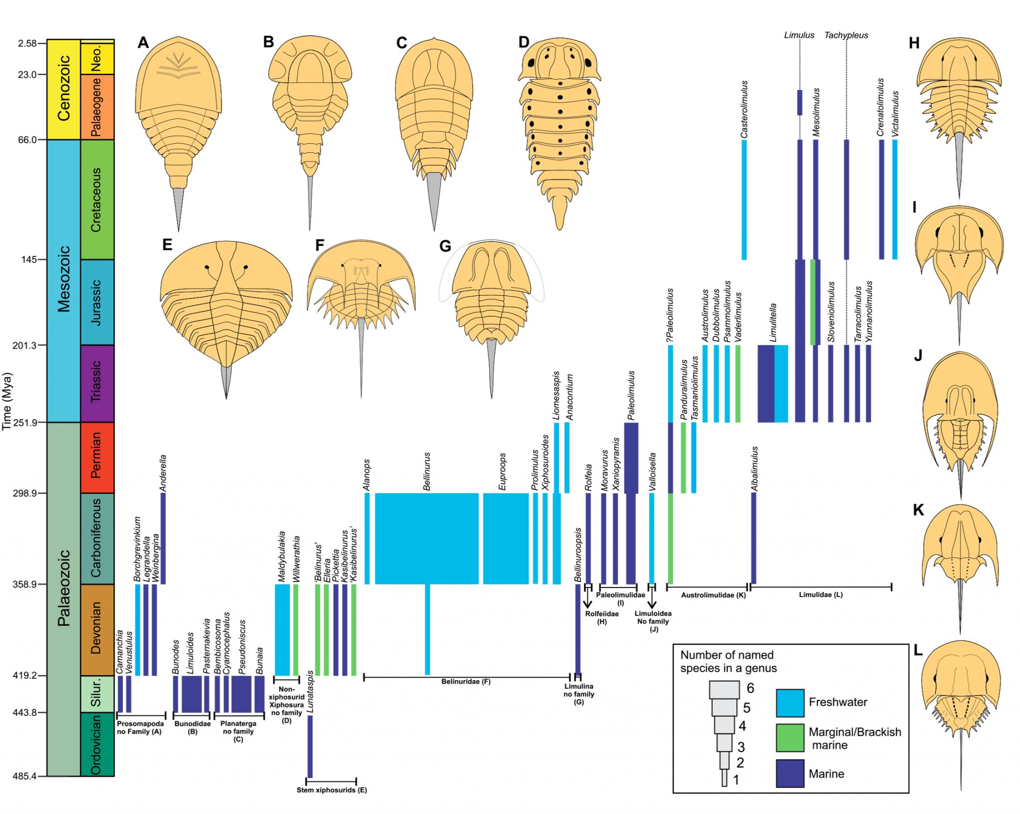 Palaeocast Palaeontology podcasts