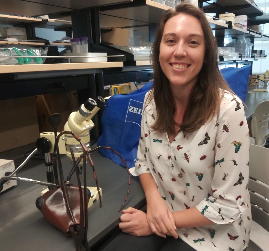 Dr Christine Sosiak